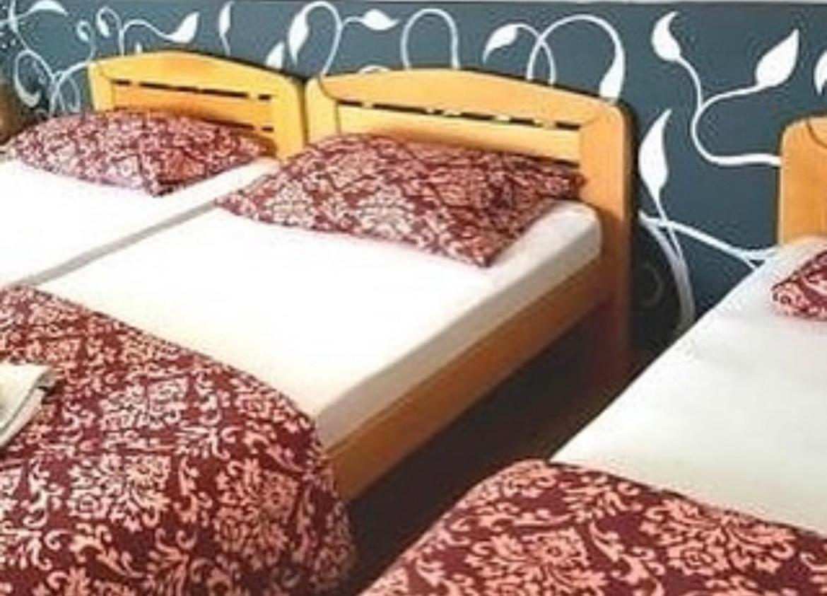 Guesthouse Vladimir & Ana Pancevo Luaran gambar
